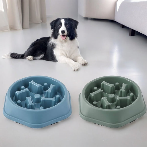 Slow Feeder Pet Bowl