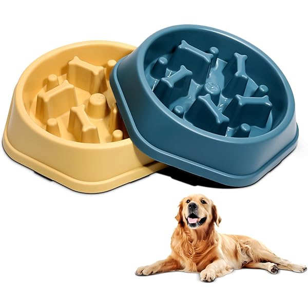 Slow Feeder Pet Bowl