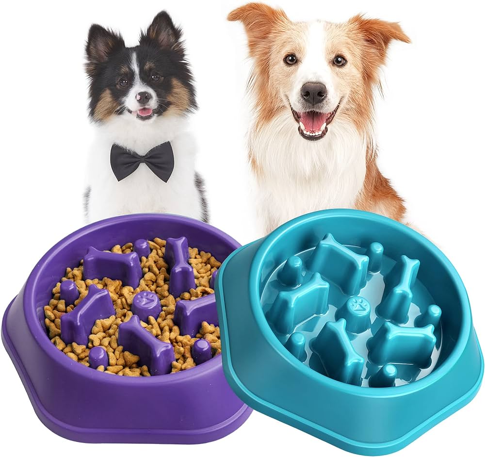 Slow Feeder Pet Bowl