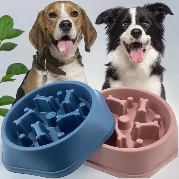 Slow Feeder Pet Bowl